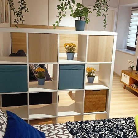 Apartament Granatowy Swietoduska 12 ルブリン エクステリア 写真