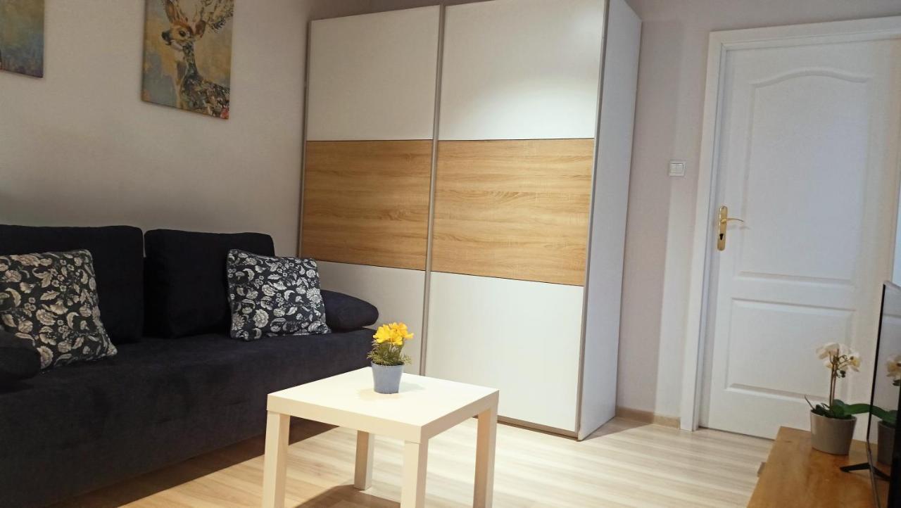 Apartament Granatowy Swietoduska 12 ルブリン エクステリア 写真