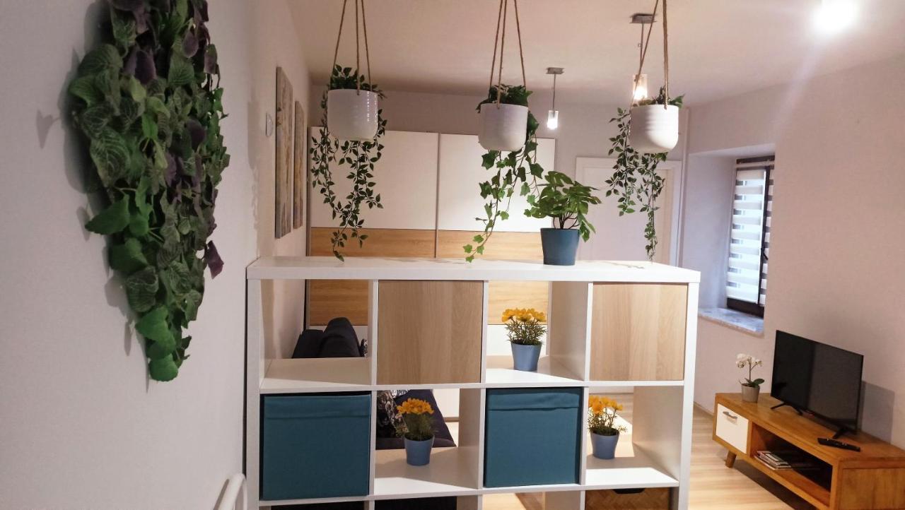 Apartament Granatowy Swietoduska 12 ルブリン エクステリア 写真